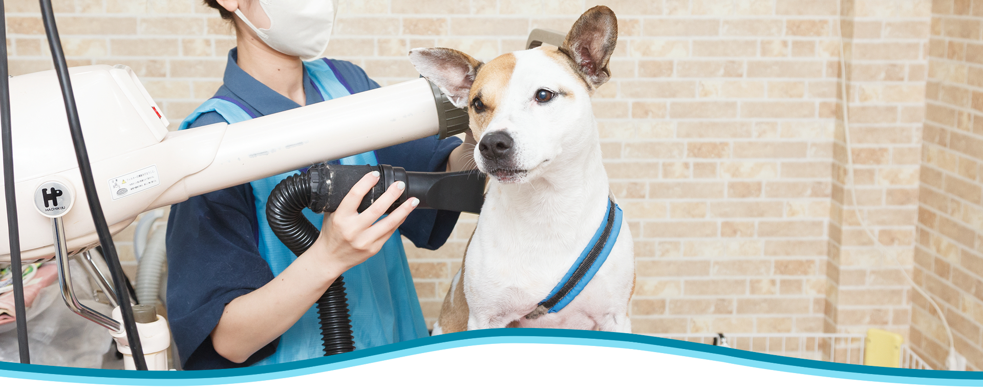 DogSalon&HorseSupplies LinoLani