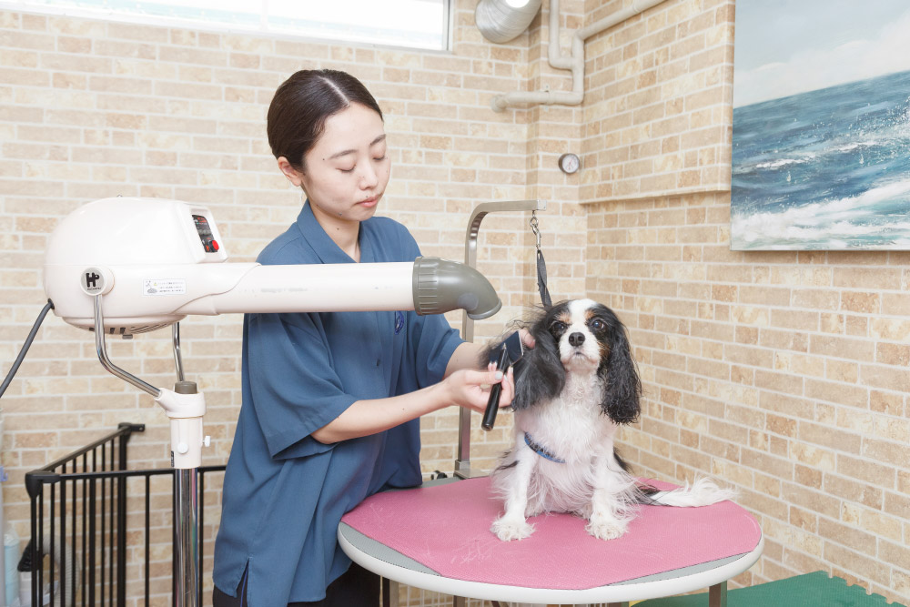 スタッフ：関東　奈緒子
